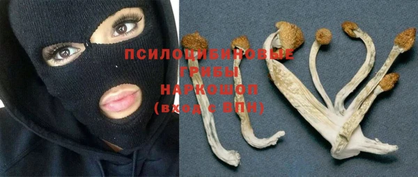 круглые Арсеньев