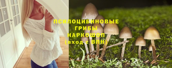 ALPHA-PVP Армянск