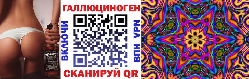 Псилоцибиновые грибы Psilocybine cubensis  Пустошка 